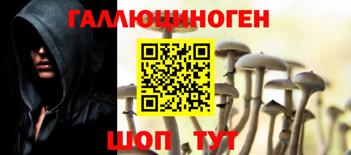Галлюциногенные грибы прущие грибы Шахты