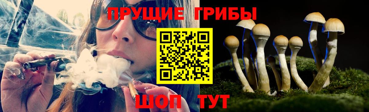 Галлюциногенные грибы мухоморы  Вход с VPN  Шахты  купить наркотик  Псилоцибиновые грибы Psilocybine cubensis 